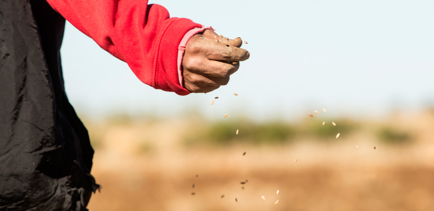 posdesarrollo y Colaboraci&oacute;n