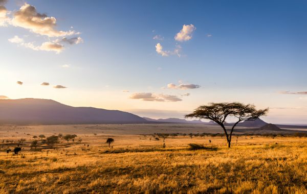 Africa